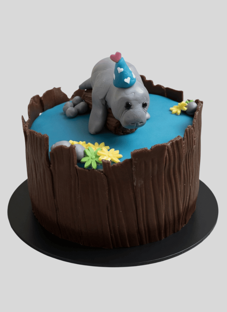 Charming Manatee Cake