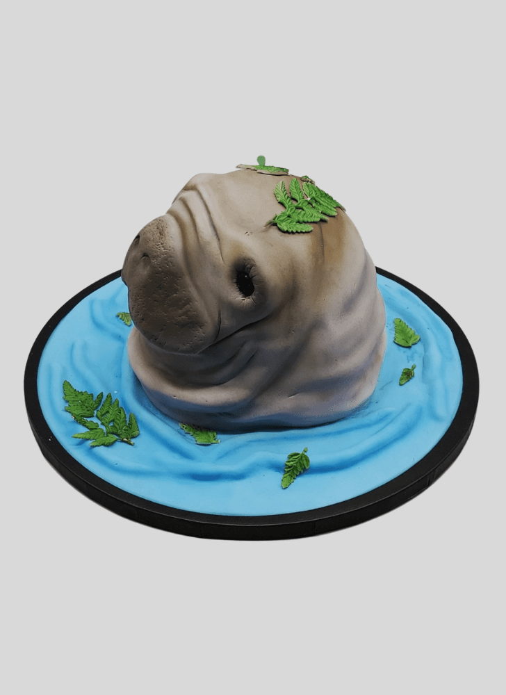 Classy Manatee Cake
