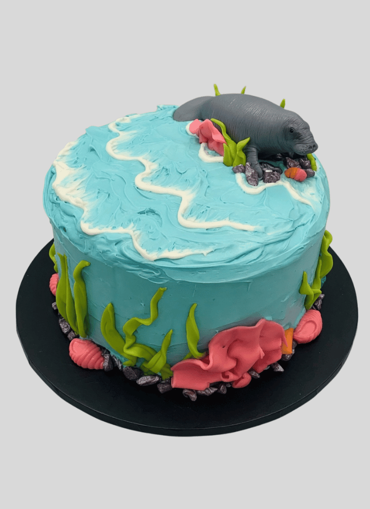 Comely Manatee Cake