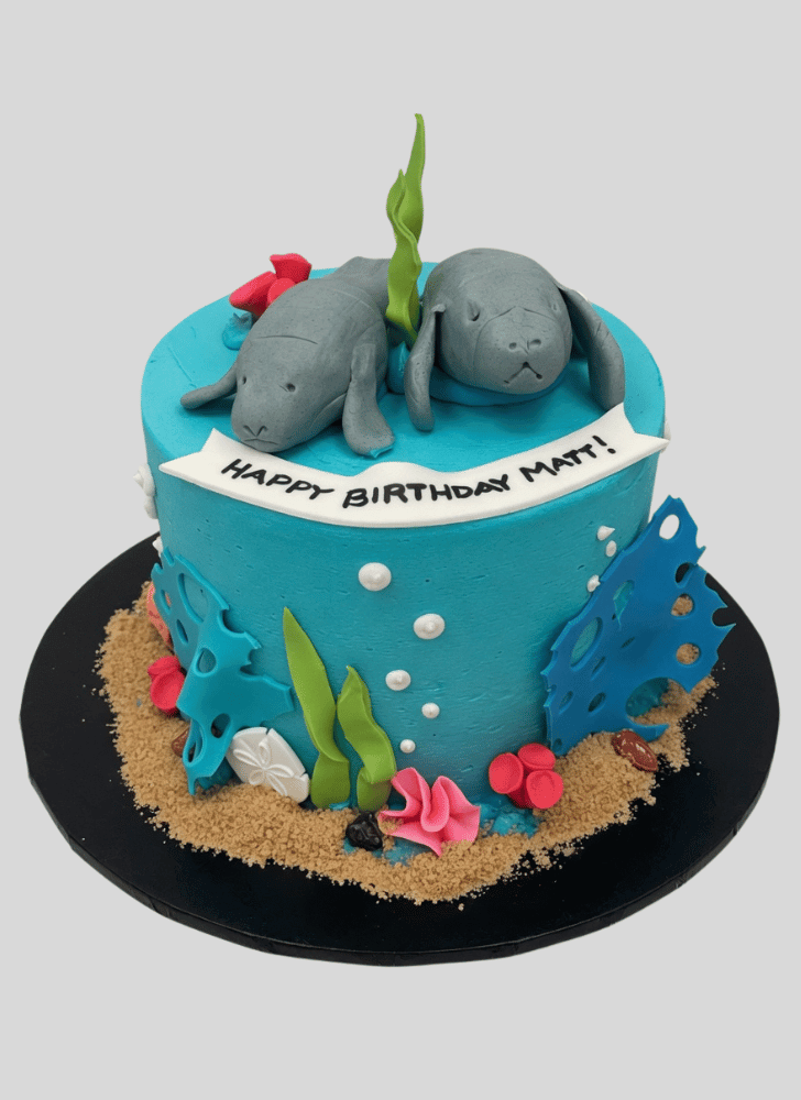 Divine Manatee Cake