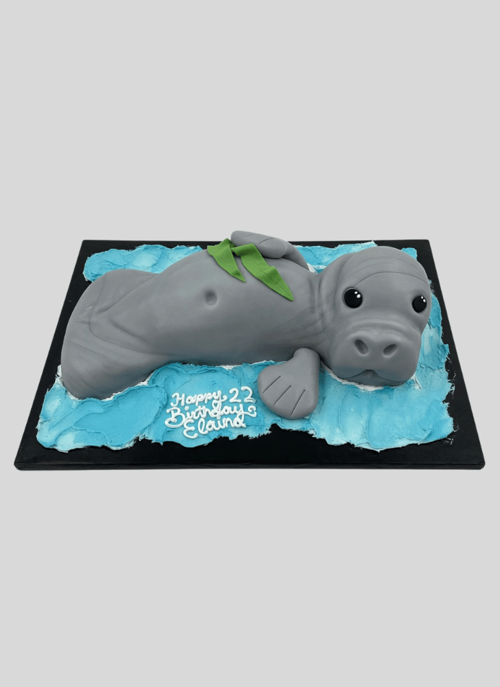 Enthralling Manatee Cake