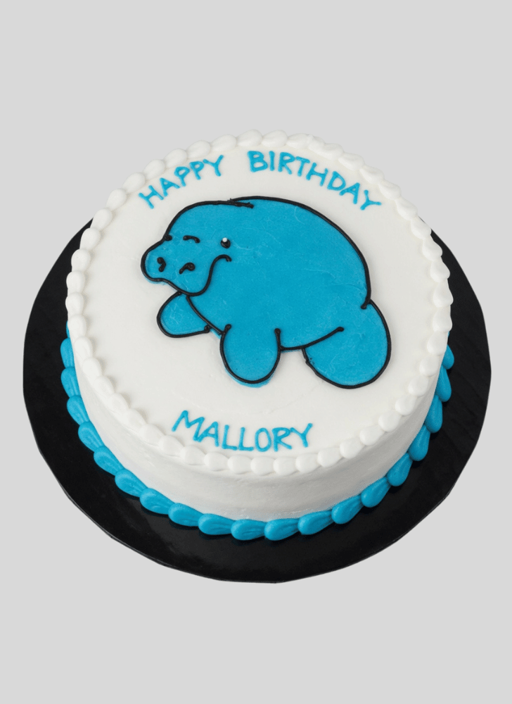 Excellent Manatee Cake