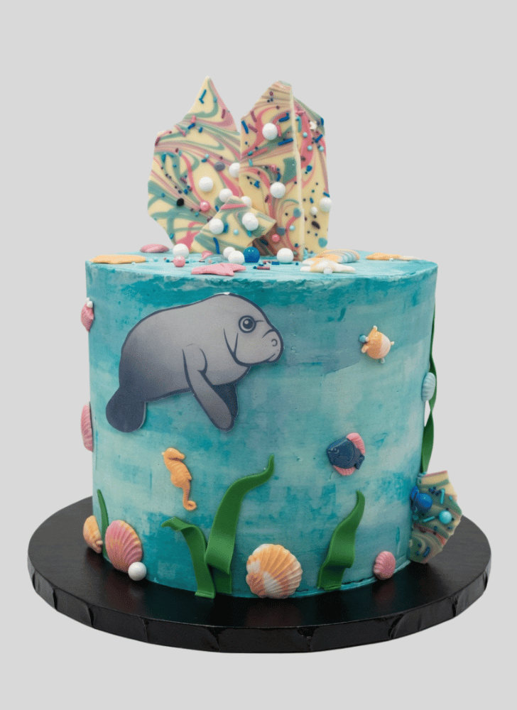 Exquisite Manatee Cake