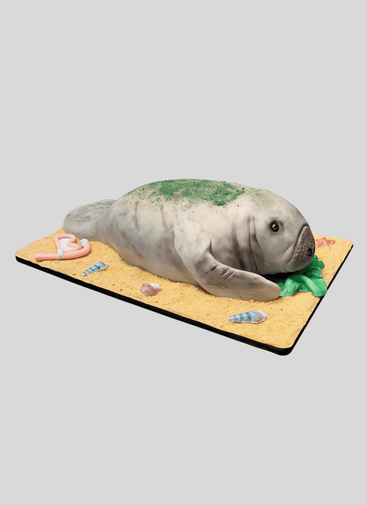 Handsome Manatee Cake