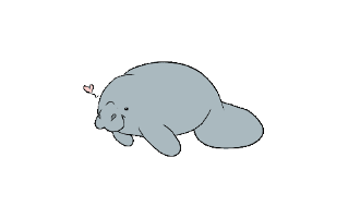 Manatee