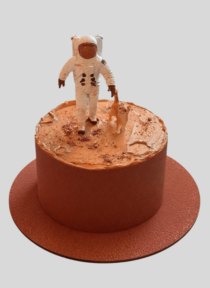 Appealing Mars Cake