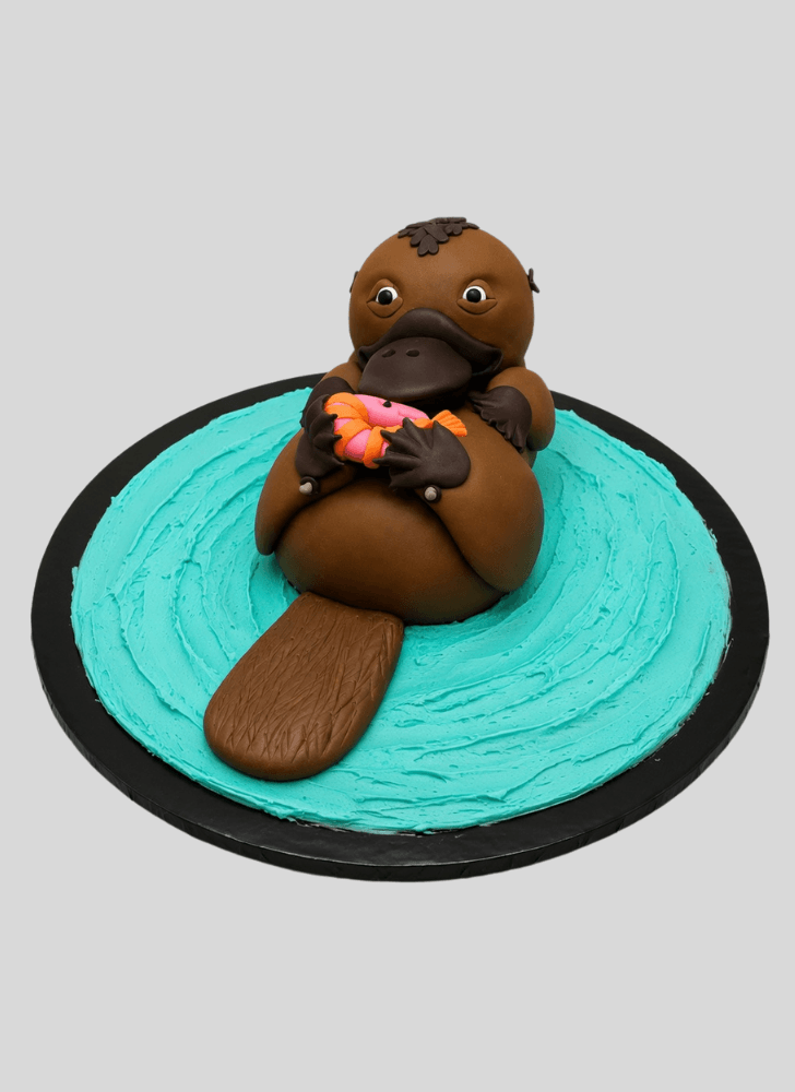 Bewitching Platypus Cake