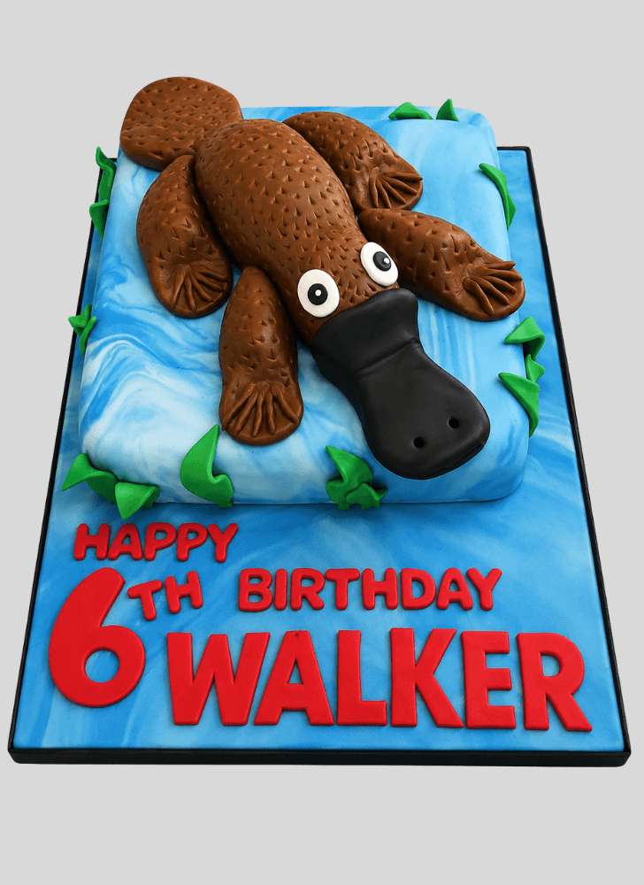 Delightful Platypus Cake