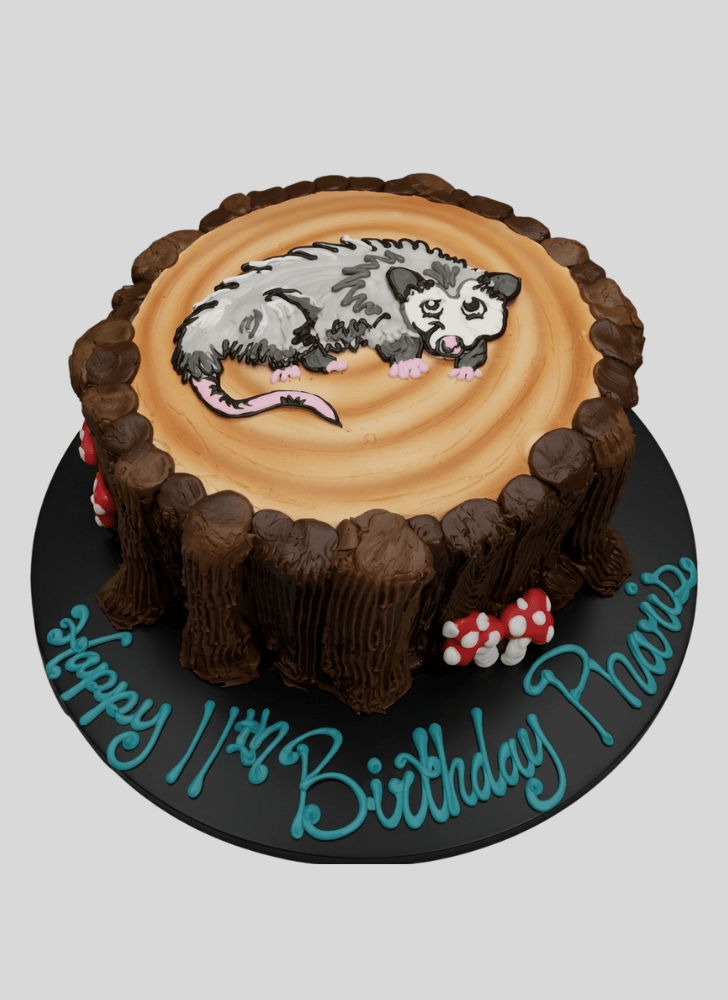 Classy Possum Cake