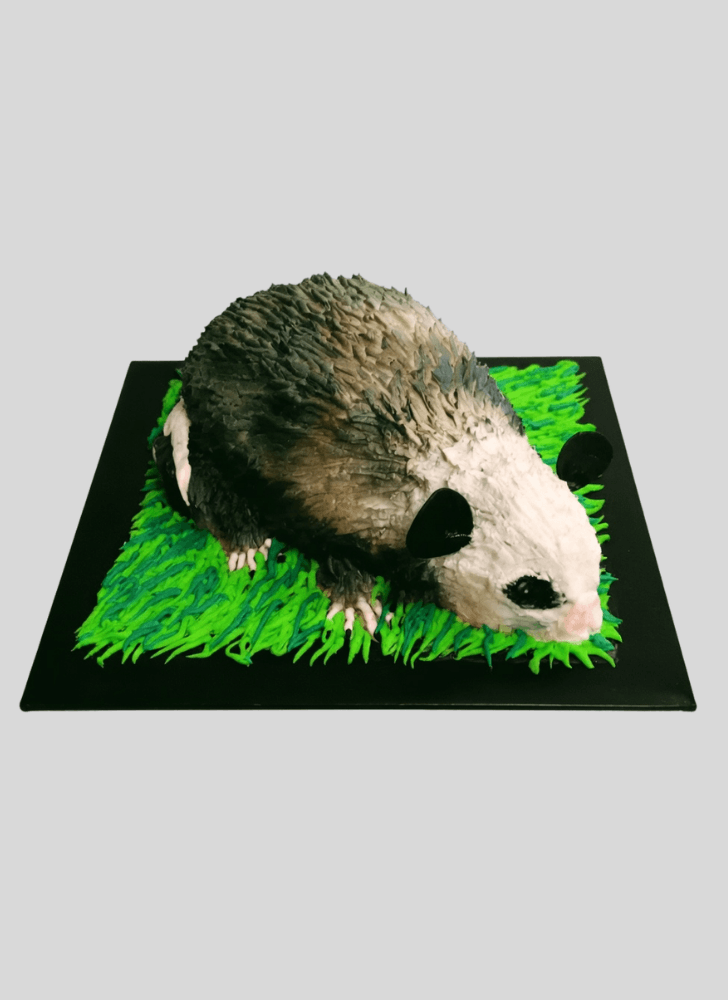 Delicate Possum Cake