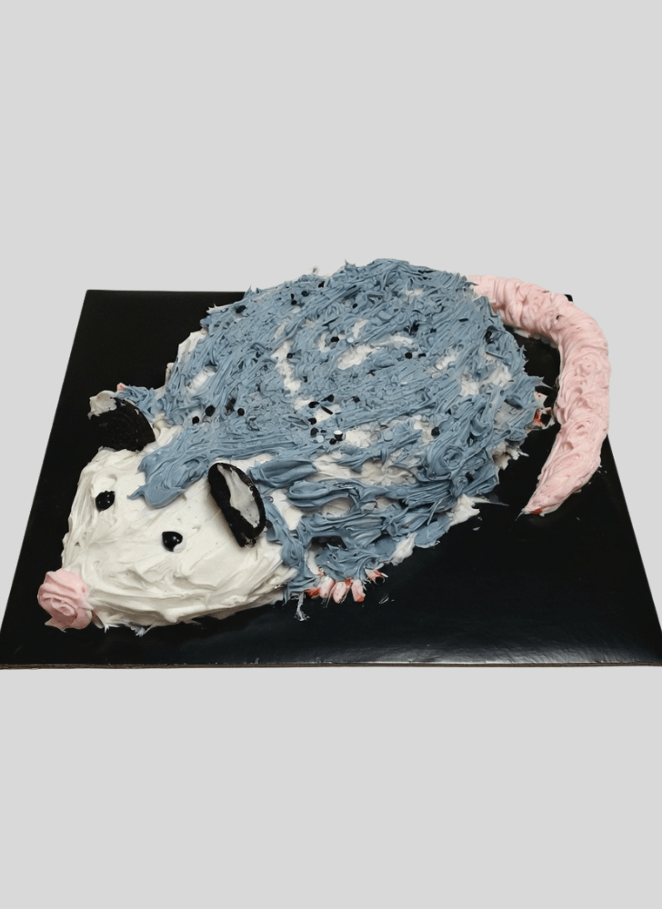 Excellent Possum Cake