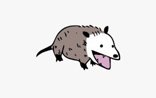 Possum