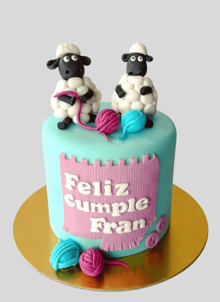 Magnetic Sheep Cake