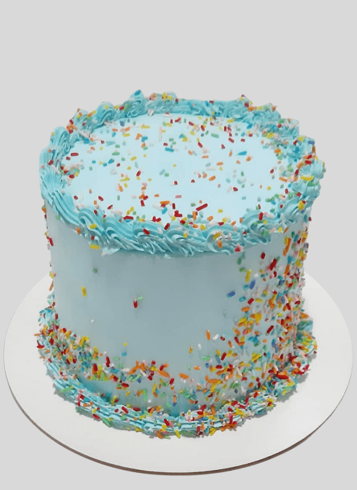 Alluring Sprinkles Cake