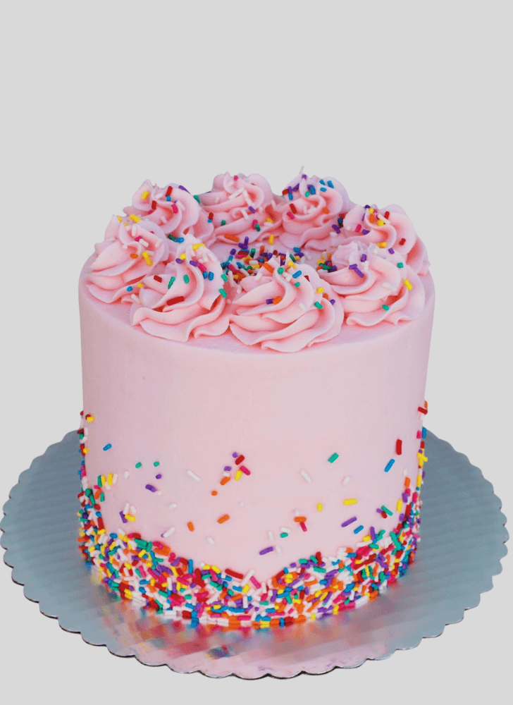 Classy Sprinkles Cake