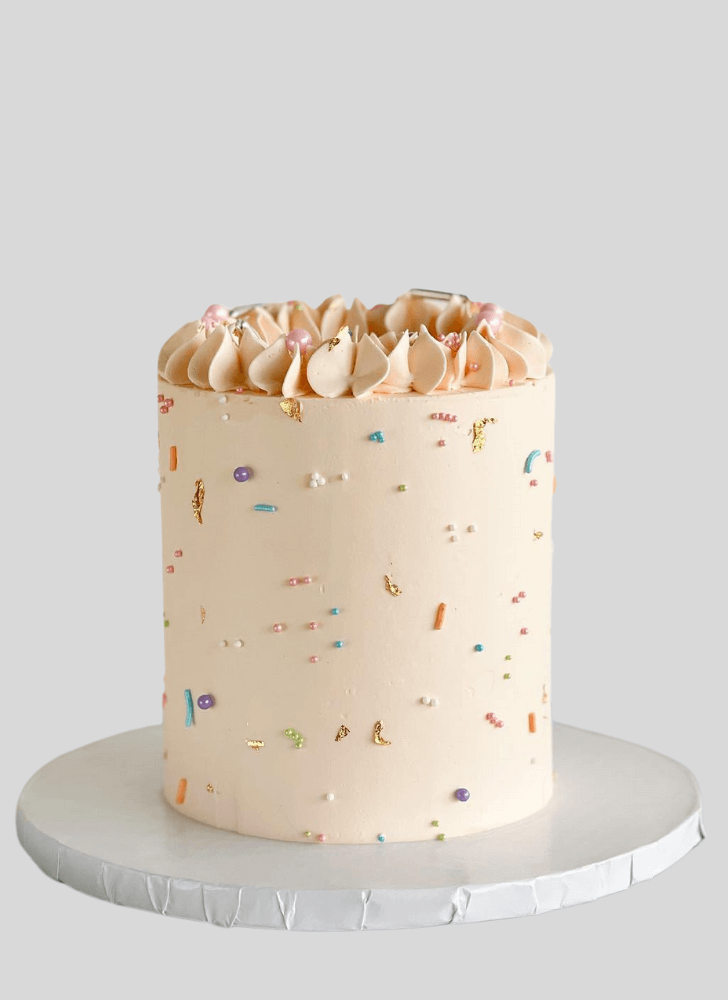 Exquisite Sprinkles Cake