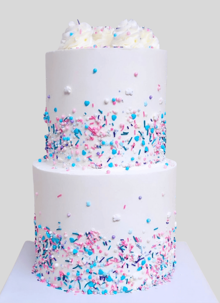 Magnetic Sprinkles Cake