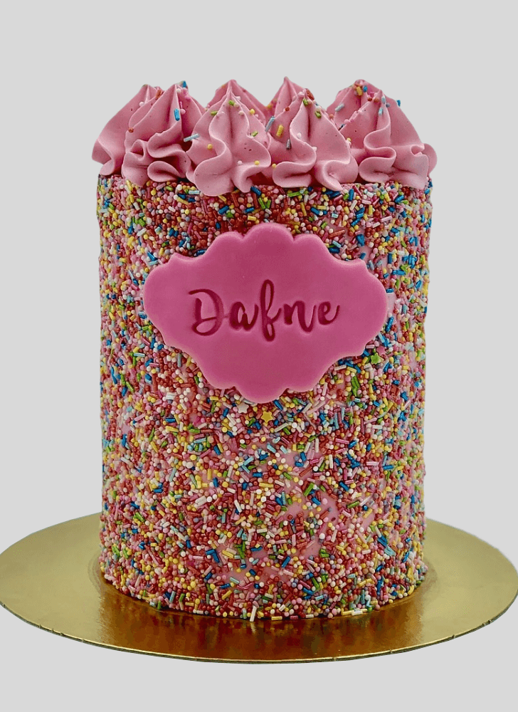 Marvelous Sprinkles Cake