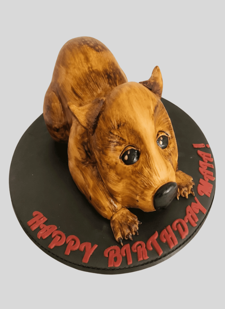 Bewitching Wombat Cake