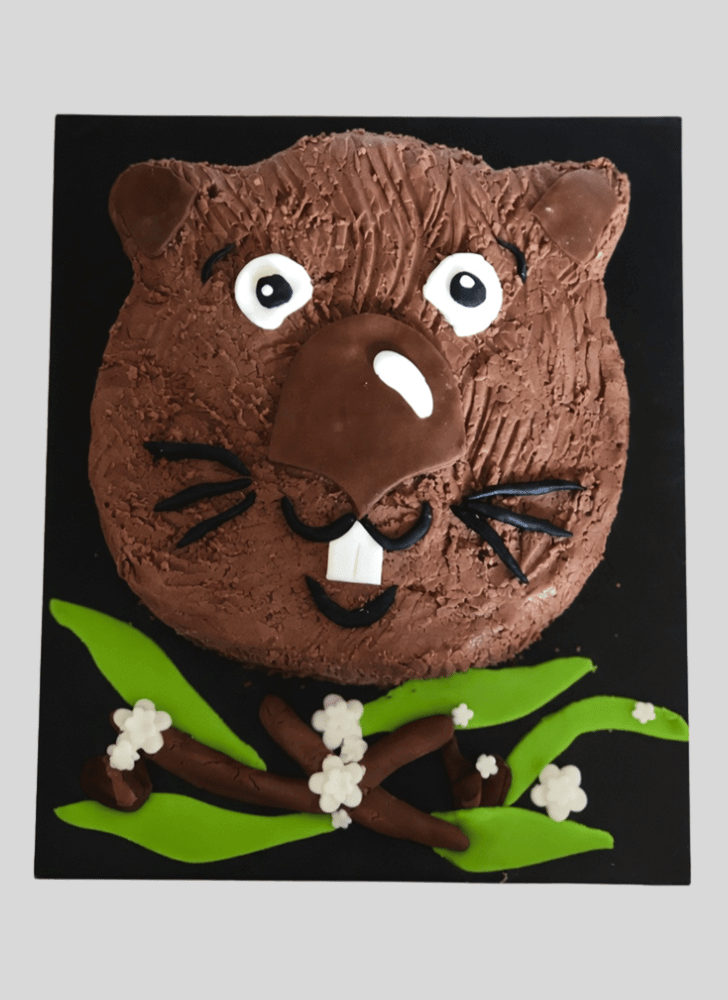 Captivating Wombat Cake