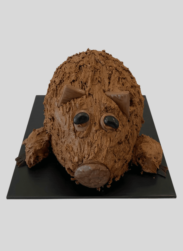 Charming Wombat Cake