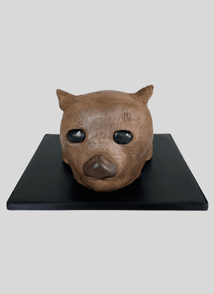 Cute Wombat Cake