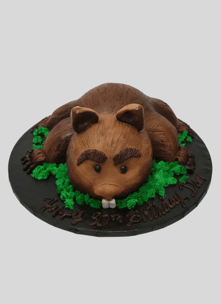Dazzling Wombat Cake