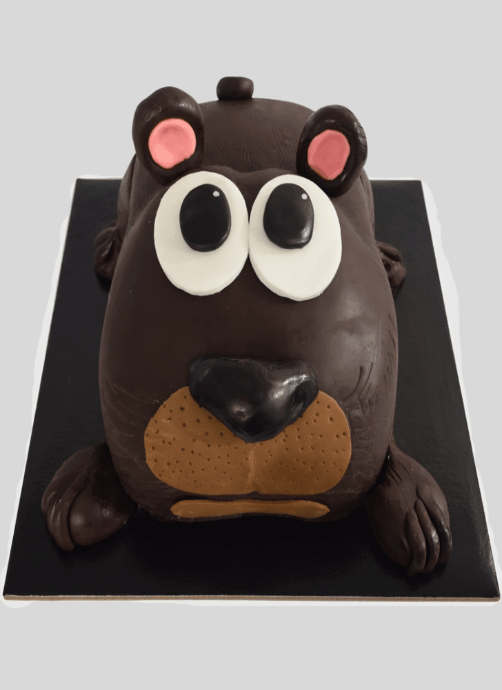 Divine Wombat Cake