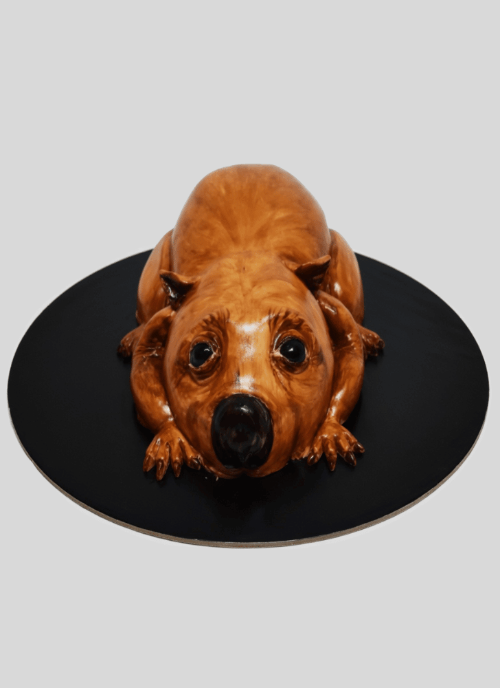 Elegant Wombat Cake