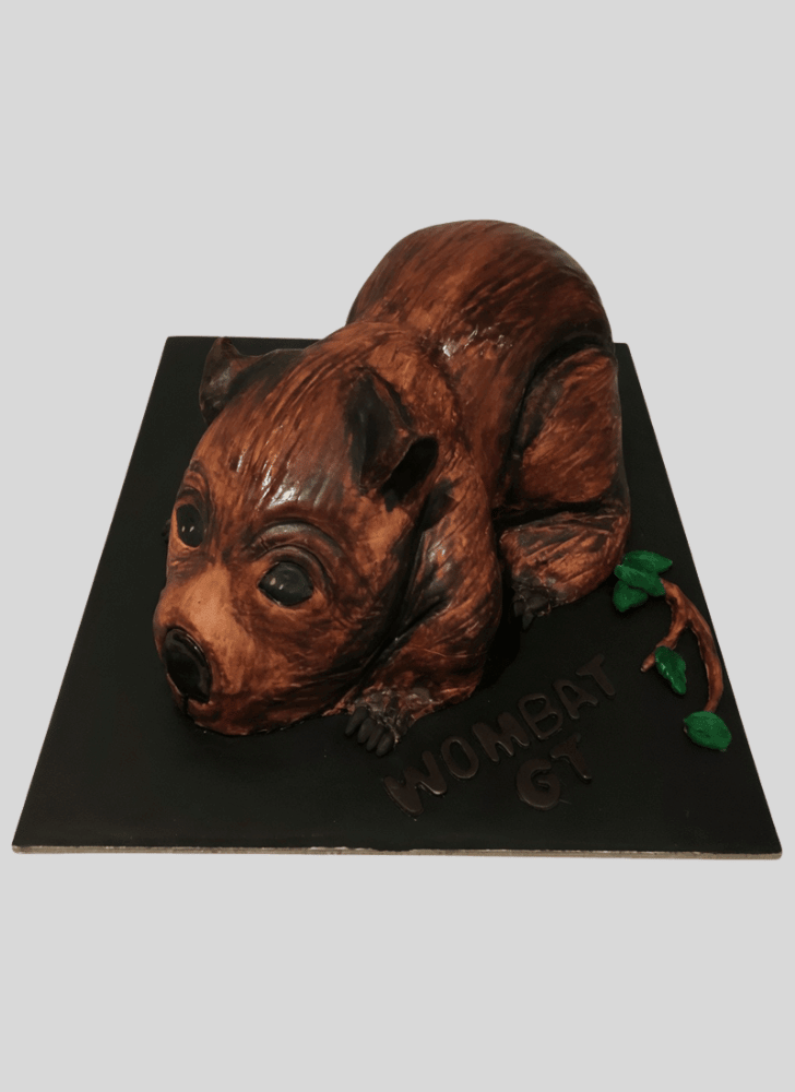 Excellent Wombat Cake