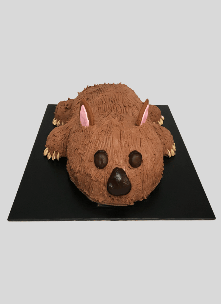 Fair Wombat Cake