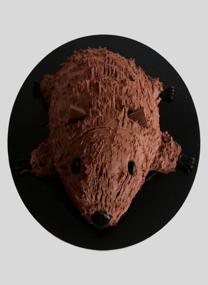Fascinating Wombat Cake