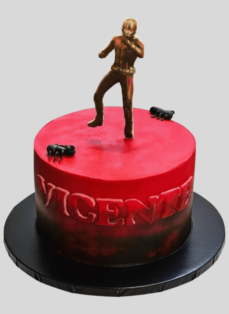 Admirable Ant-Man Cake Design
