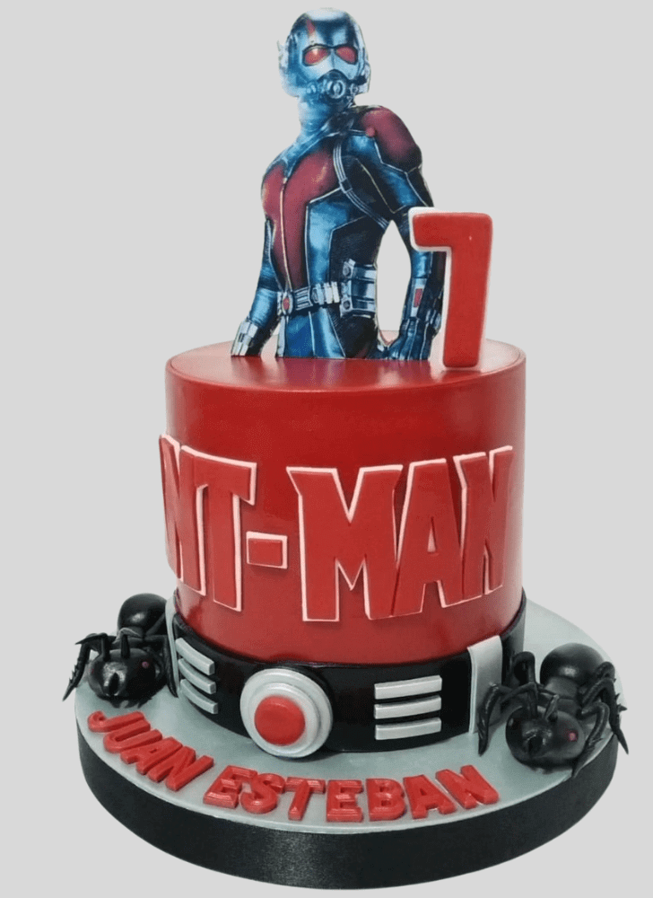 Exquisite Ant-Man Cake
