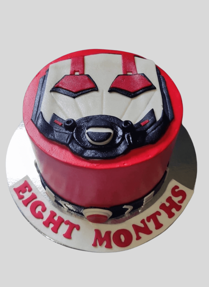 Fetching Ant-Man Cake