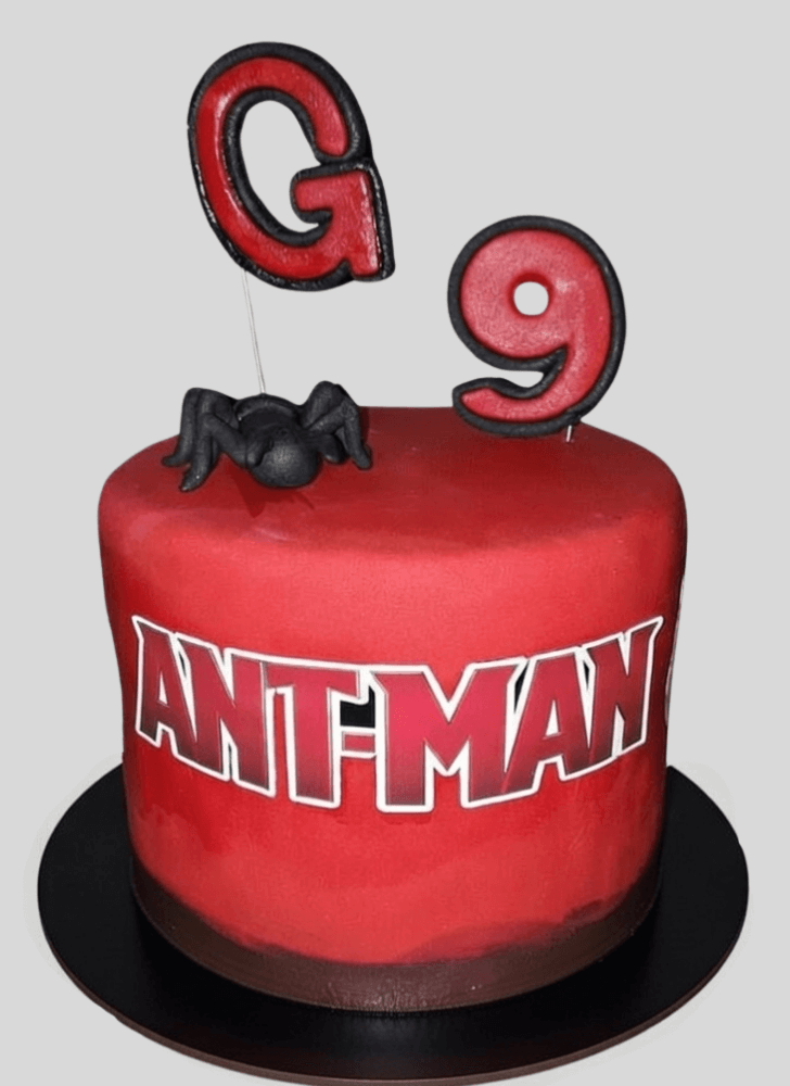Nice Ant-Man Cake