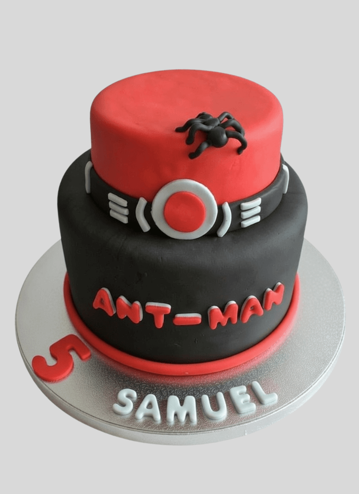 Shapely Ant-Man Cake