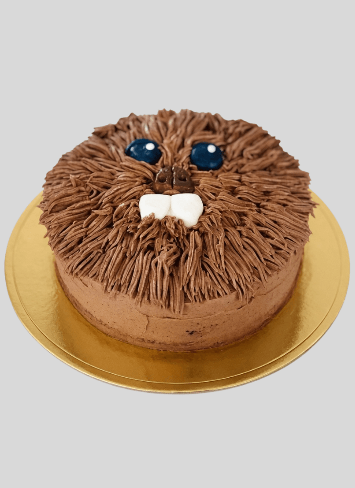 Good Looking Chewbacca Cake