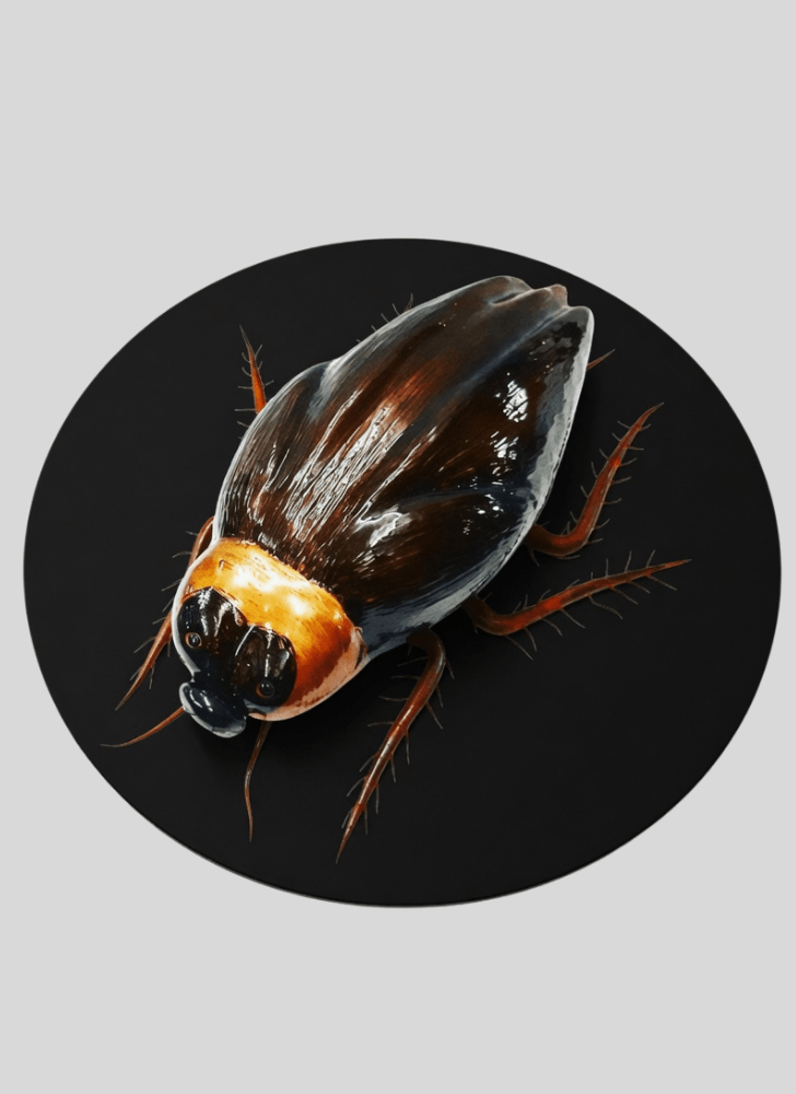 Beauteous Cockroach Cake
