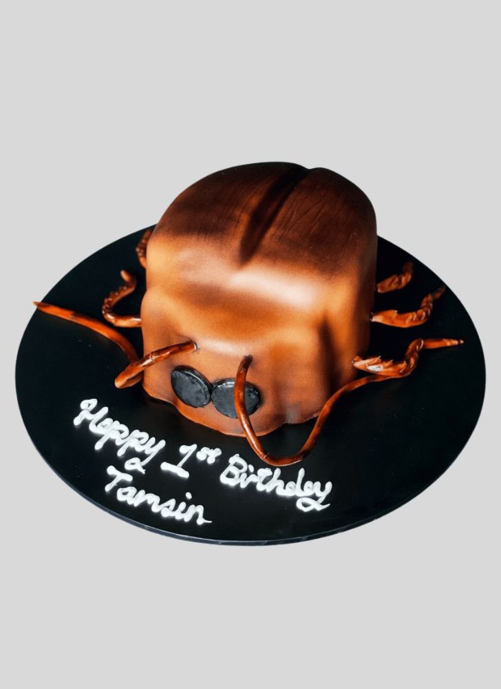 Comely Cockroach Cake
