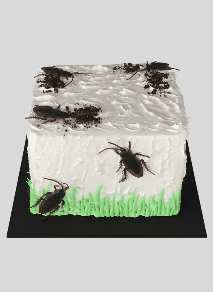 Delicate Cockroach Cake