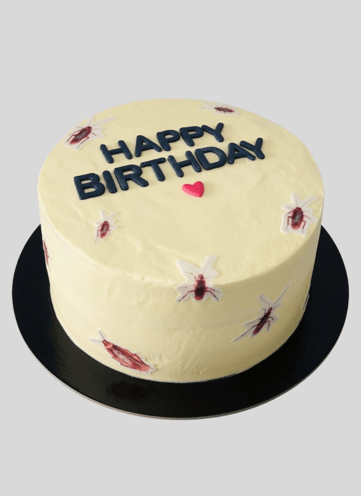 Enticing Cockroach Cake