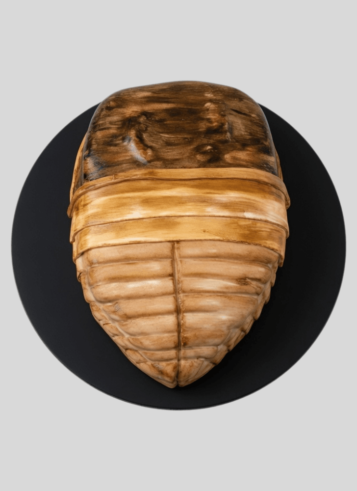 Exquisite Cockroach Cake