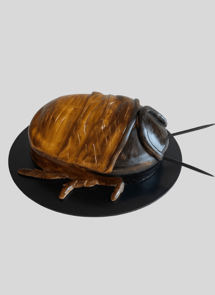 Fair Cockroach Cake