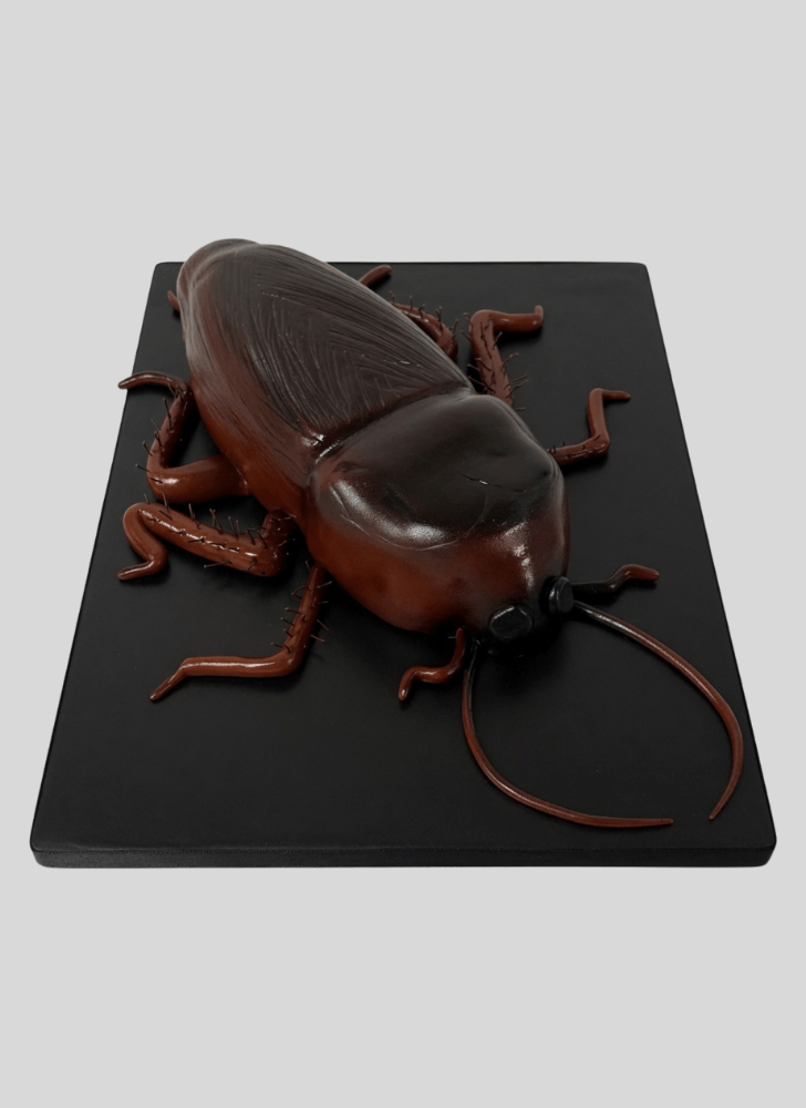 Good Looking Cockroach Cake