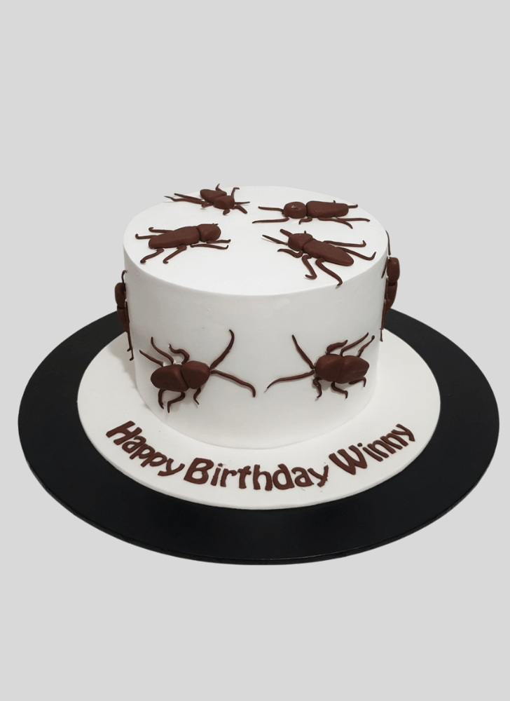 Inviting Cockroach Cake