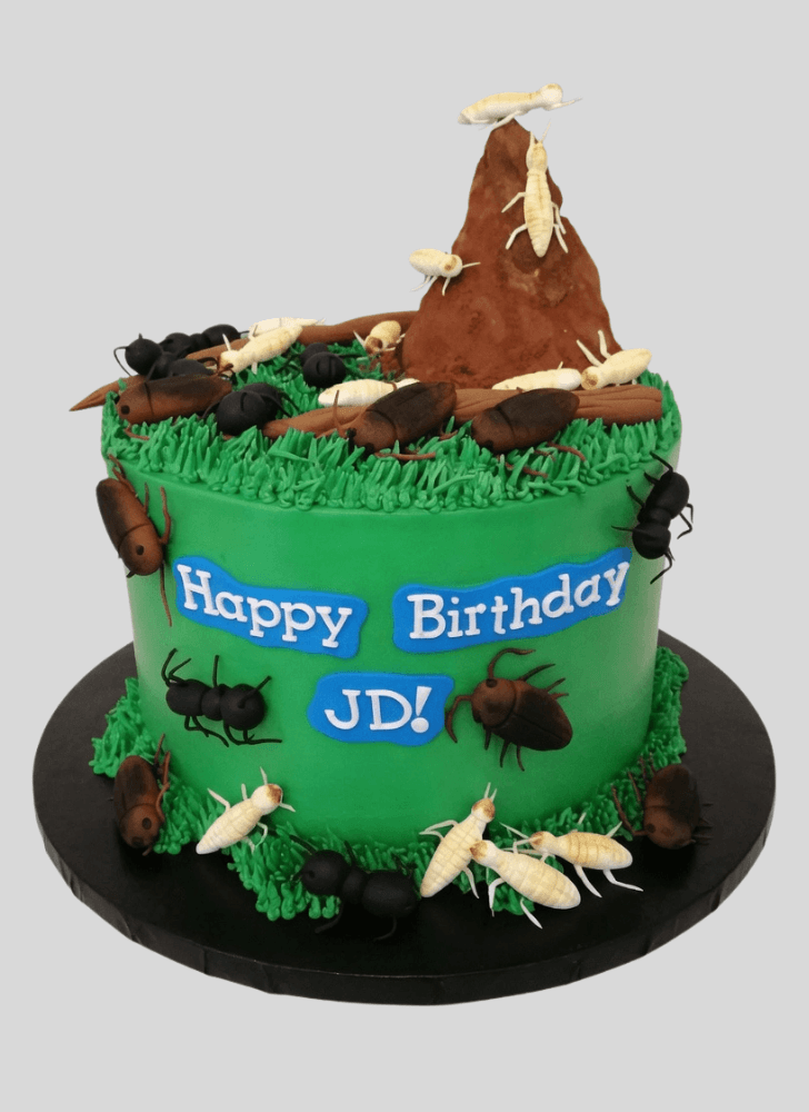 Magnetic Cockroach Cake
