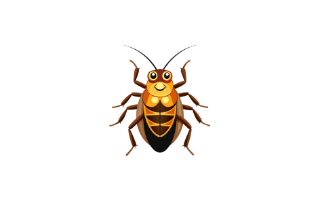 Cockroach