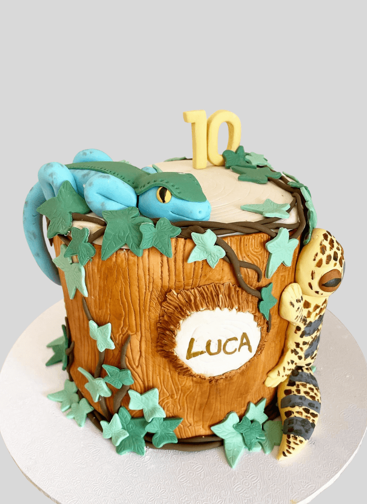 Charming Lizard Cake