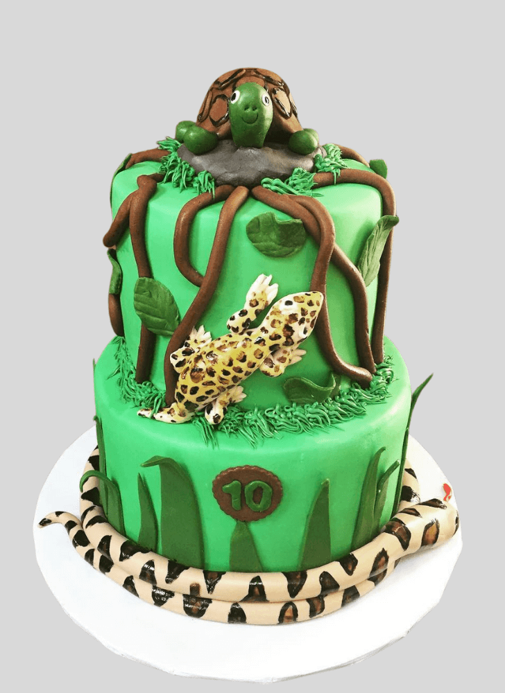 Pretty Lizard Cake